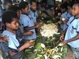 School kids learn to cook balanced meals